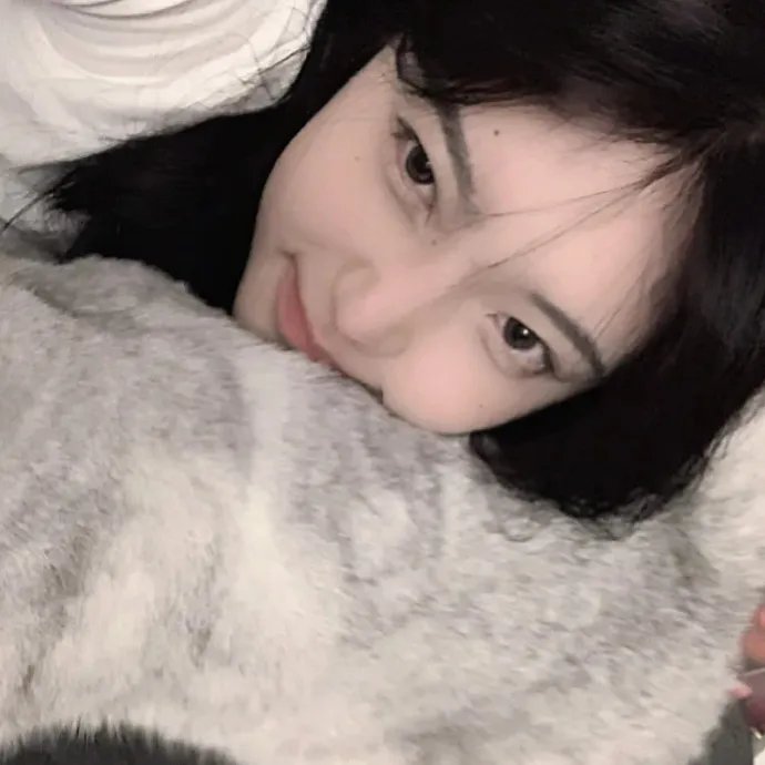 与鲨同游